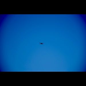 Meet your Posher, Woo